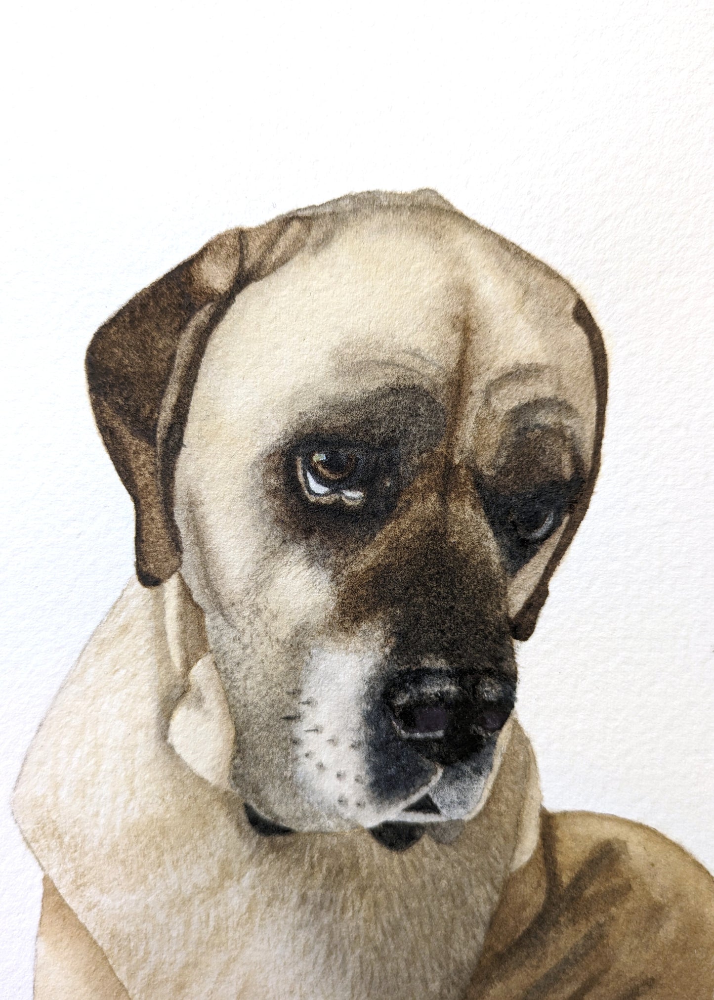 5"x7" Single Pet Custom Watercolor Pet Portrait