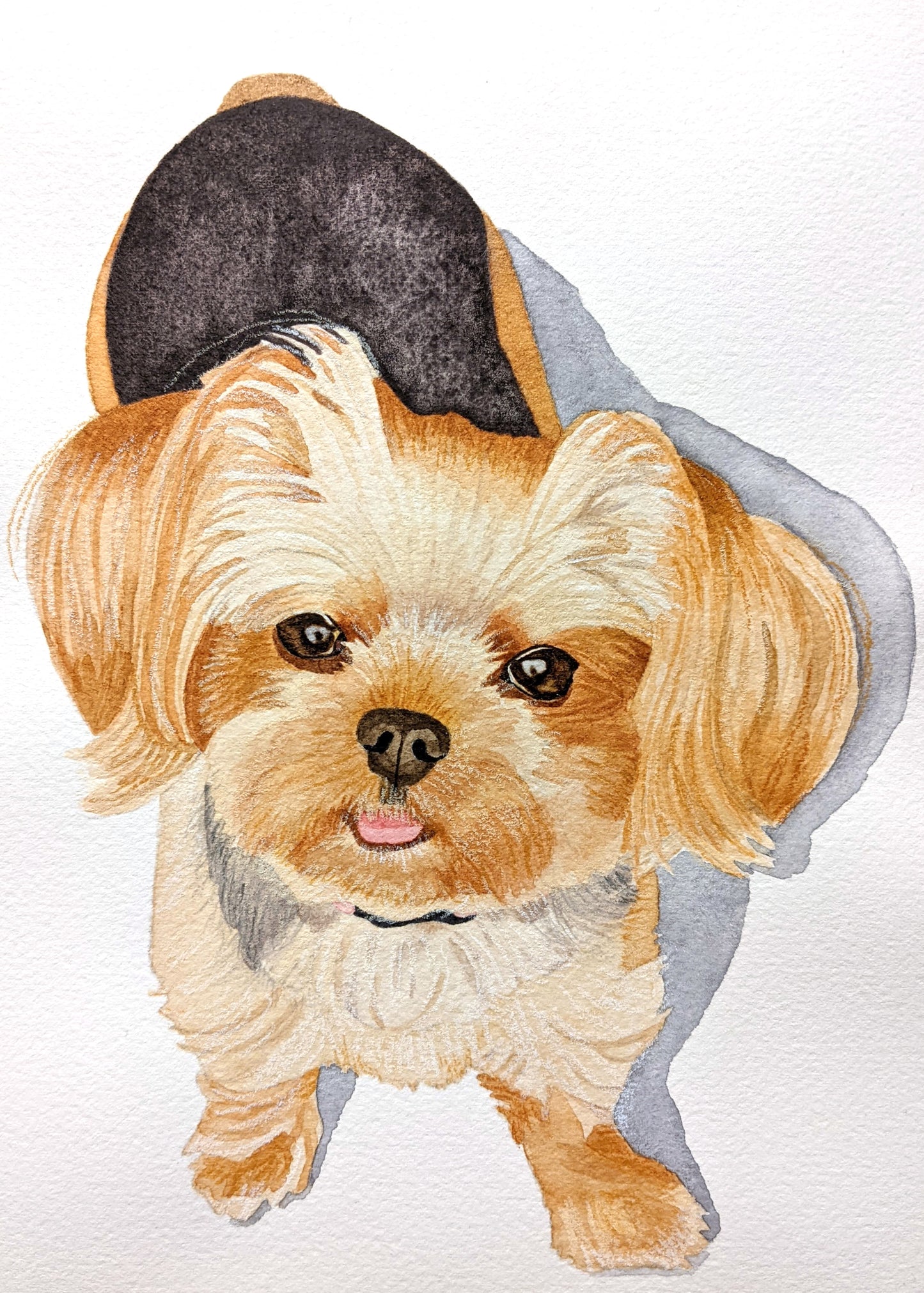 8"x10" Traditional Custom Watercolor Pet Portrait