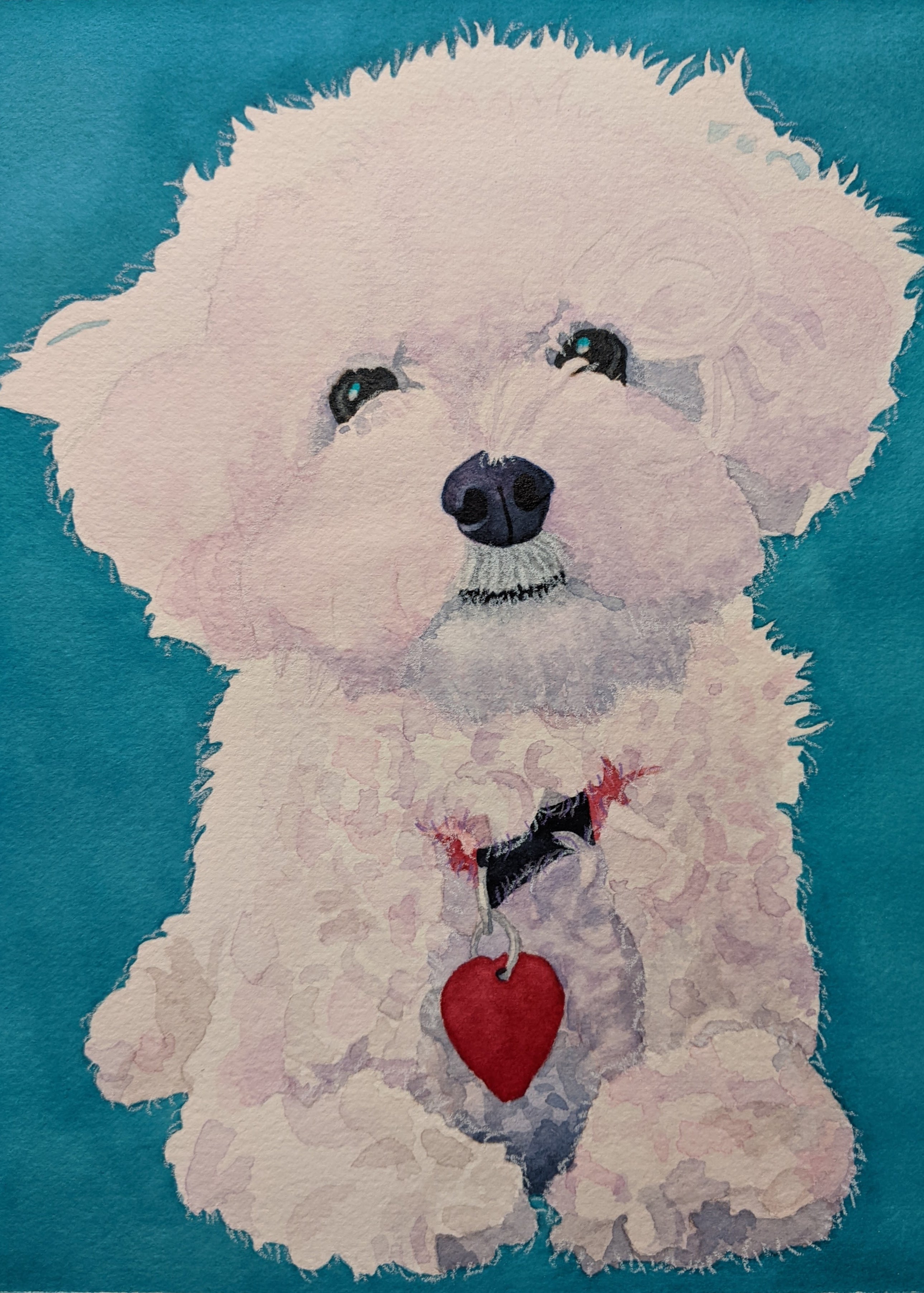 Custom newest Pet Portrait (Single Pet)