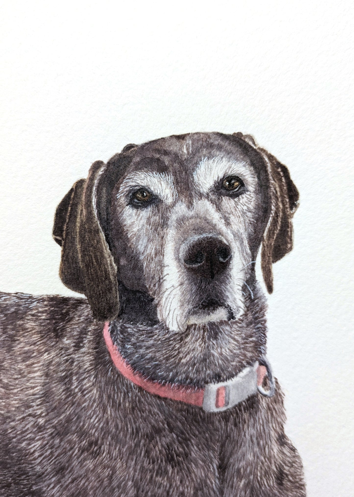 4"x6" Single Pet Custom Watercolor Pet Portrait