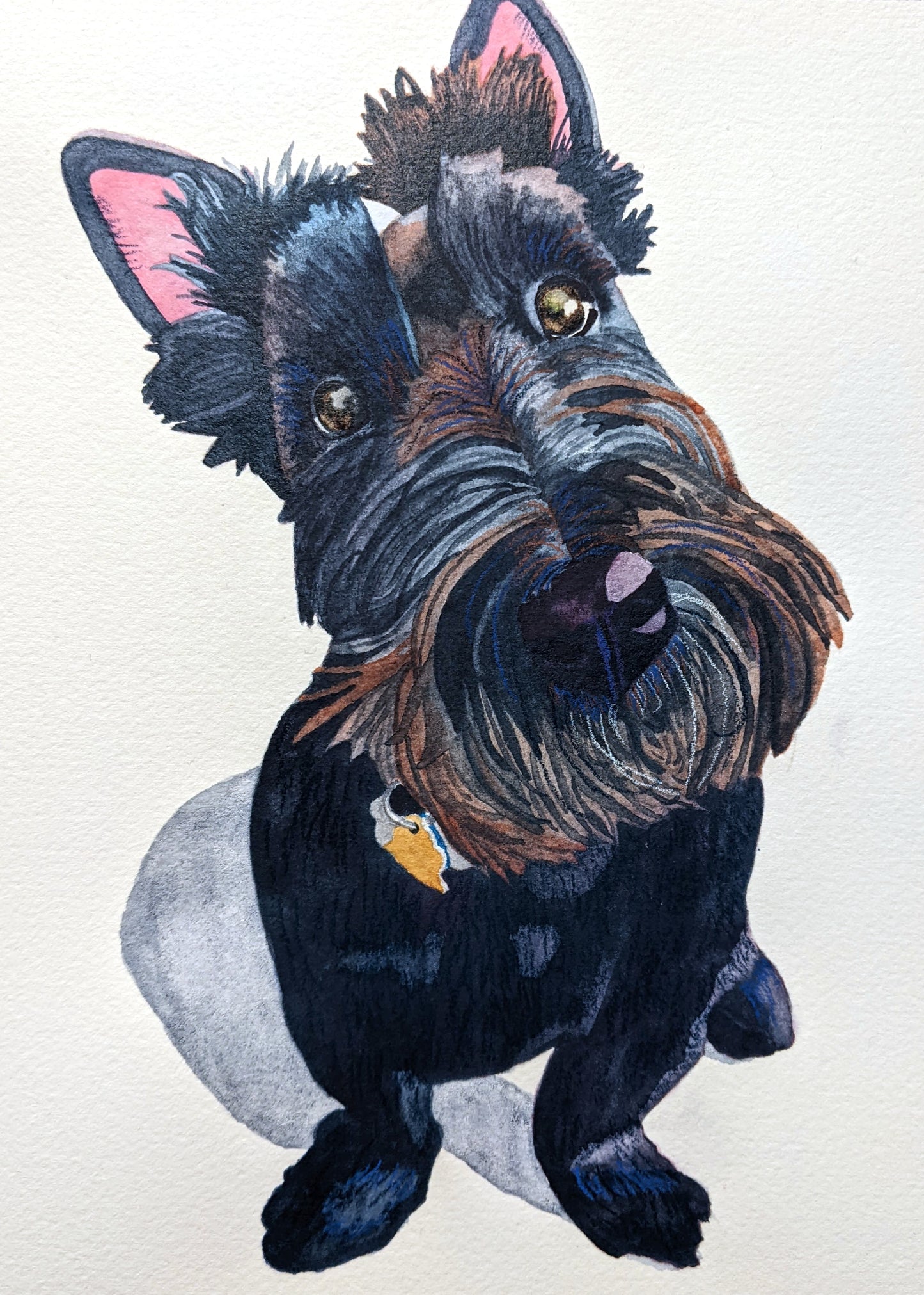 8"x10" Traditional Custom Watercolor Pet Portrait