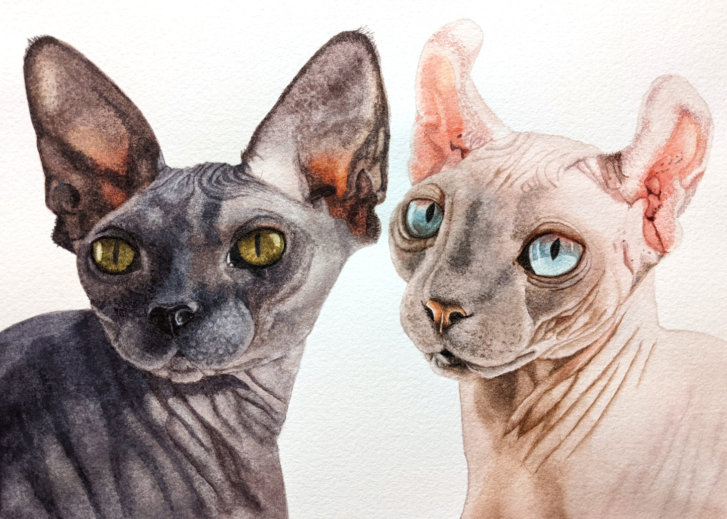 10"x8" Two Pet Custom Pet Portrait